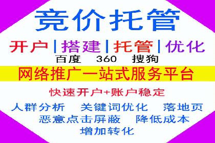 实战解析：SEM竞价策略优化案例